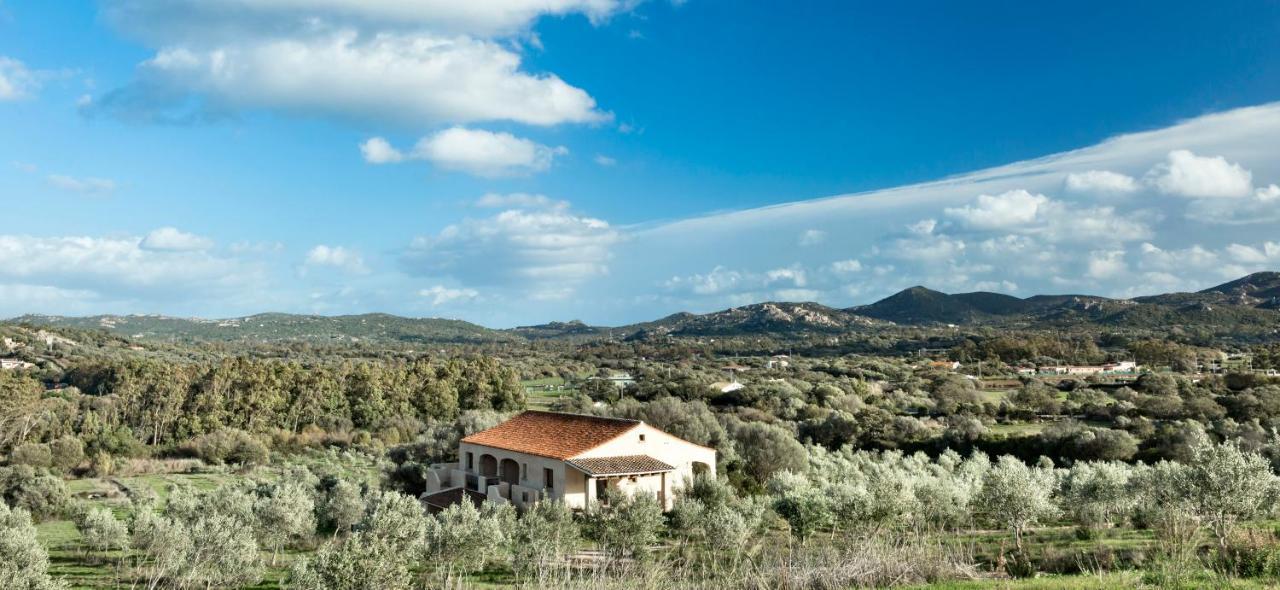 Отель Cascioni Eco Retreat Арцакена Экстерьер фото